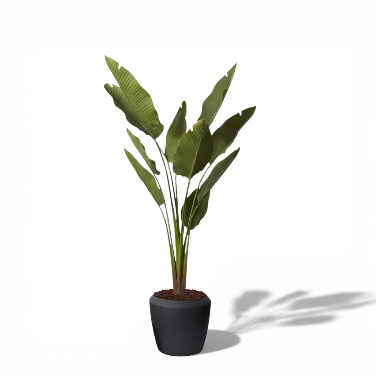 Bird of Paradise – Three Sizes (Outdoor Friendly)