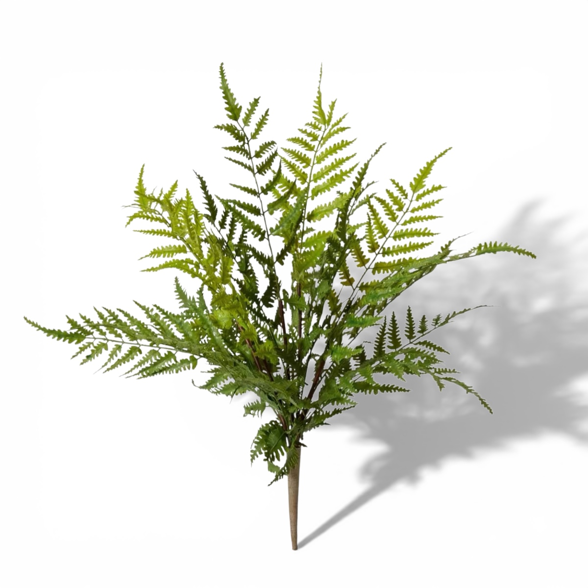 Tassel Fern 50cm (Outdoor Friendly)