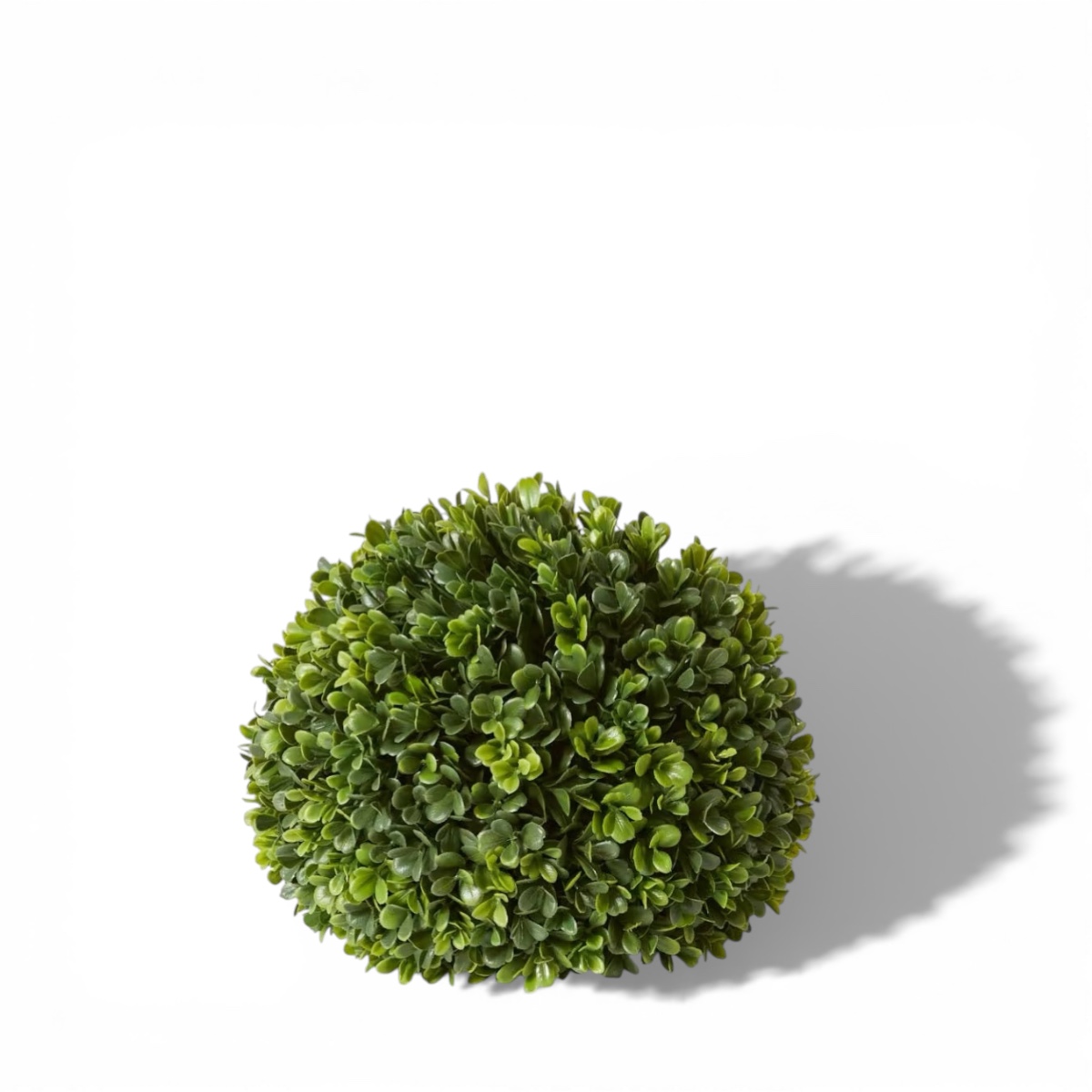 Boxwood Ball (Outdoor Friendly)